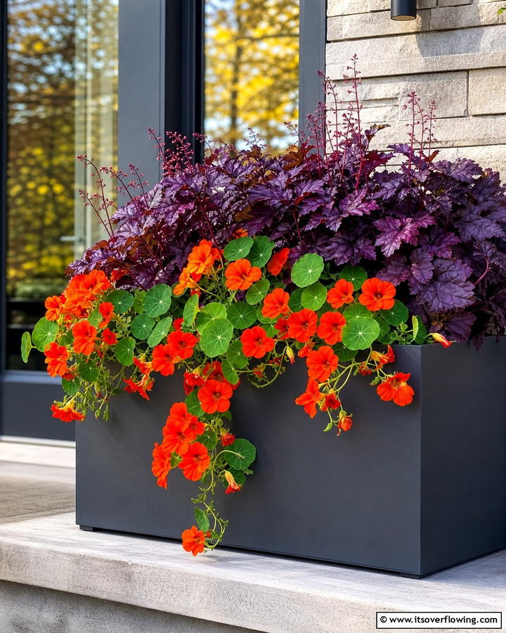Bold Contrast with Purple Heuchera and Orange Nasturtiums - 20 Fall Flower Box Ideas for Seasonal Beauty