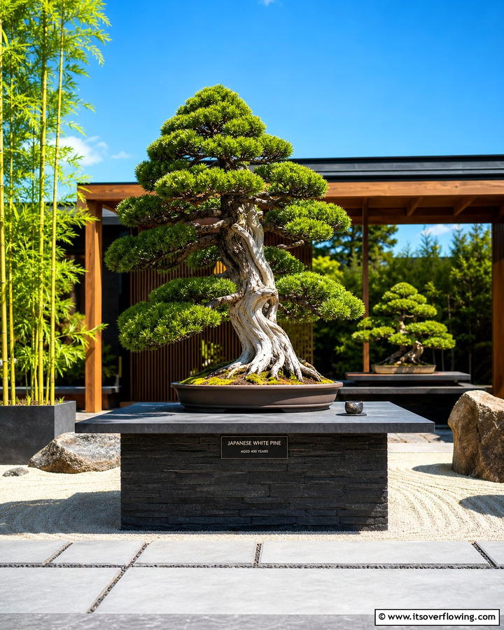 Bonsai Displays - 25 Zen Garden Ideas for a Peaceful Outdoor Retreat