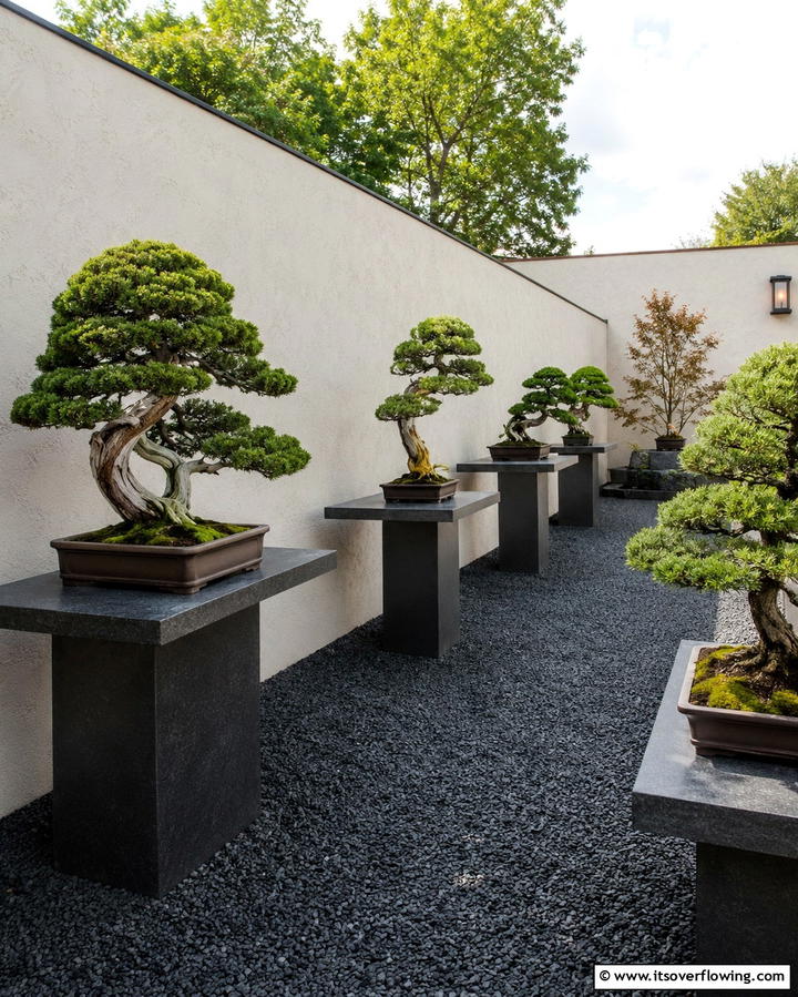 Bonsai Garden Mastery - 30 Asian-Inspired Landscaping Ideas for Serene Gardens