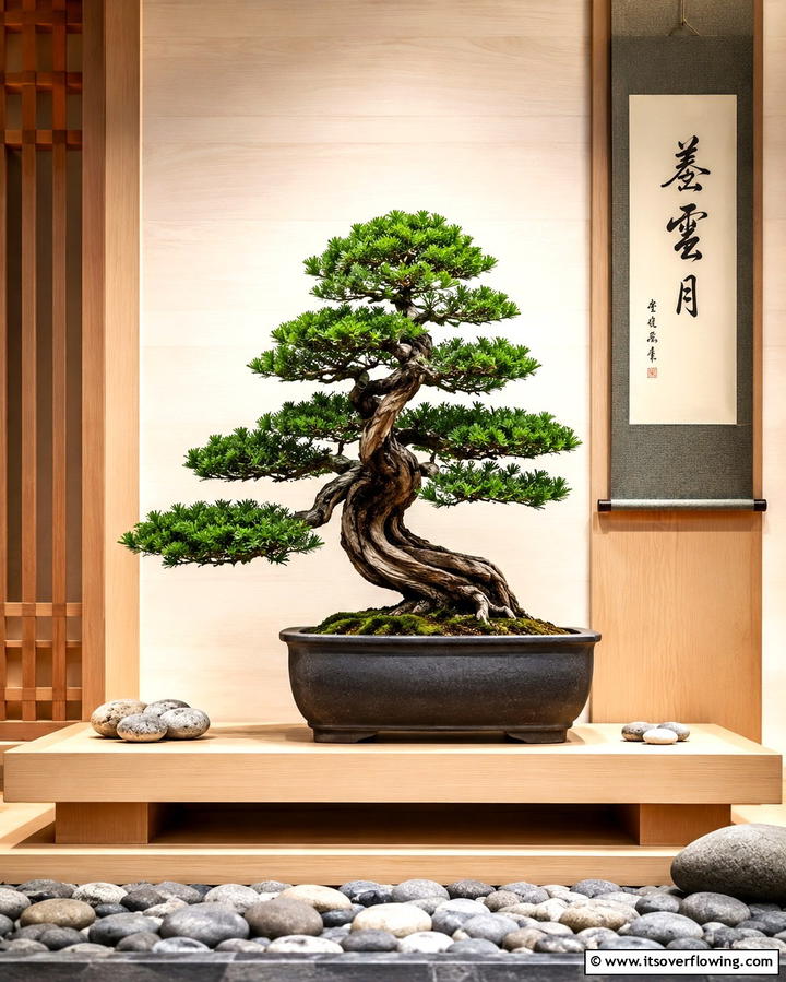 Bonsai Trees for Decoration - 25 Japanese Bedroom Design Ideas for Minimalism