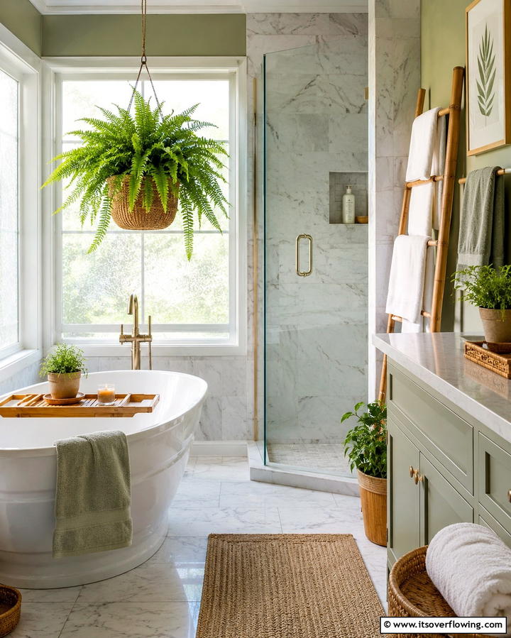 Boston Fern - 30 Best Plants for Bathroom Spaces to Enhance Humidity & Style