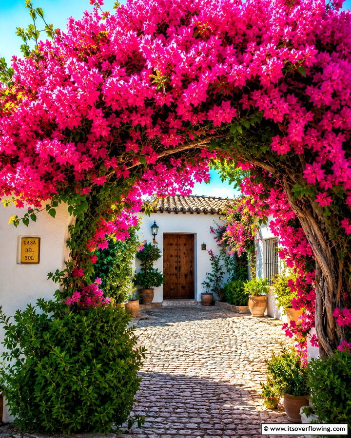 Bougainvillea Arches - 25 Spanish Style Patio Ideas for Outdoor Living