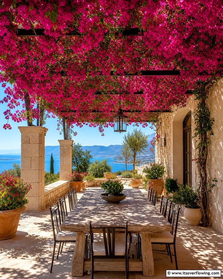 Bougainvillea Cascading Tropical Beauty - 25 Outdoor Plants for Patio to Enhance Your Space