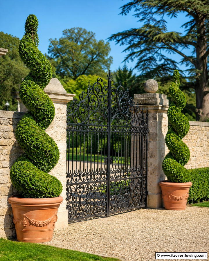Boxwood Spiral Accents - 25 Elegant Front Yard Boxwood Design Ideas