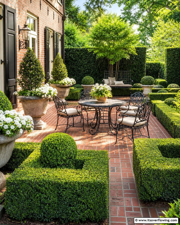 Boxwood The Versatile Hedge - 25 Shrubs for Privacy- Create a Natural Barrier in Your Yard