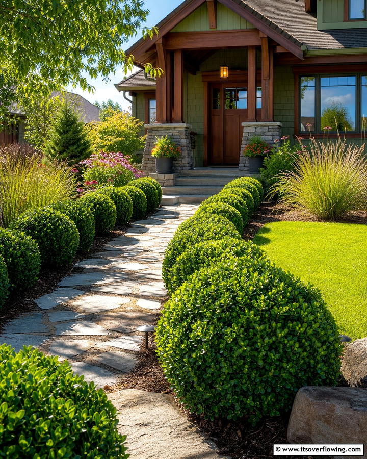 Boxwood Wintergreen Year Round Appeal - 20 Front Yard Boxwood Shrubs Ideas for a Polished Look