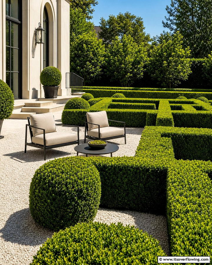 Boxwood for Timeless Elegance - 25 Shrubs for Privacy- Create a Natural Barrier in Your Yard