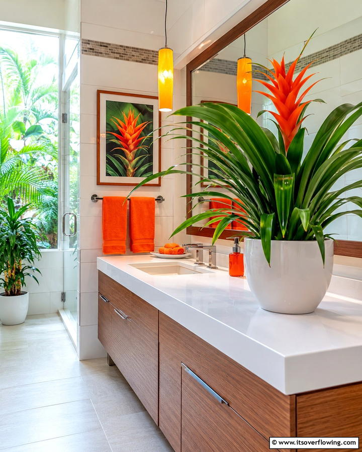 Bromeliad - 30 Best Plants for Bathroom Spaces to Enhance Humidity & Style