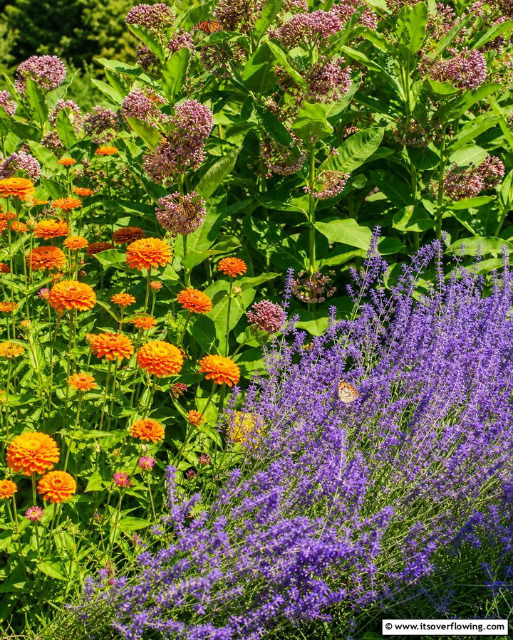 Butterfly GardensOne - 25 Flower Garden Ideas to Brighten Your Outdoor Space