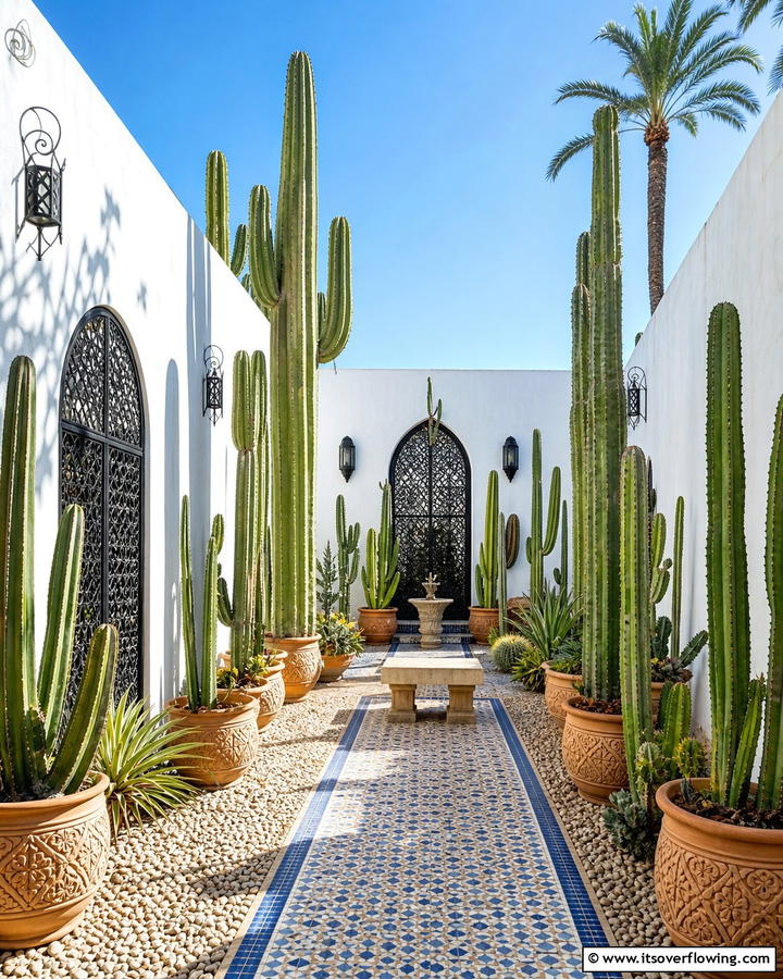 Cactus Courtyard - 25 Stunning Cactus Garden Ideas for Your Home