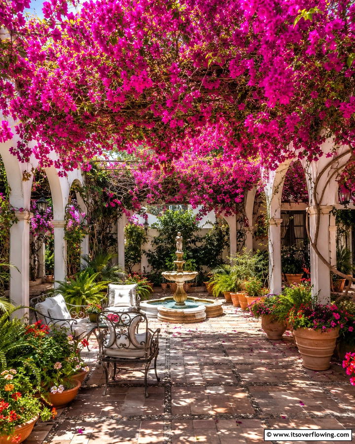 Canopies of Bougainvillea - 20 Spanish Courtyard Ideas for a Serene Outdoor Space