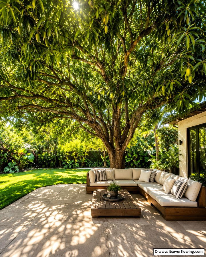 Canopy Trees for Shaded Retreats - 25 Tropical Landscape Ideas for Your Outdoor Paradise