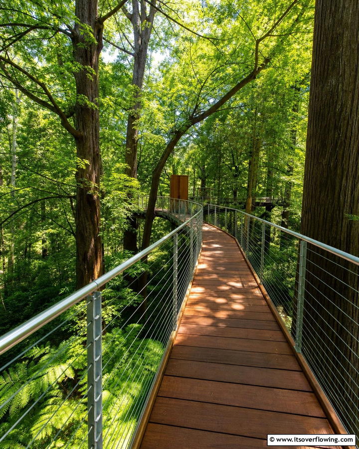 Canopy Walkway - 20 Elevated Walkway Ideas for a Unique Landscape