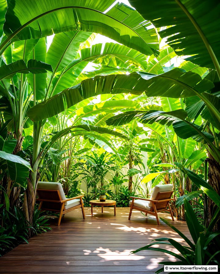 Canopy of Banana Trees - 25 Tropical Garden Ideas for a Lush Outdoor Oasis