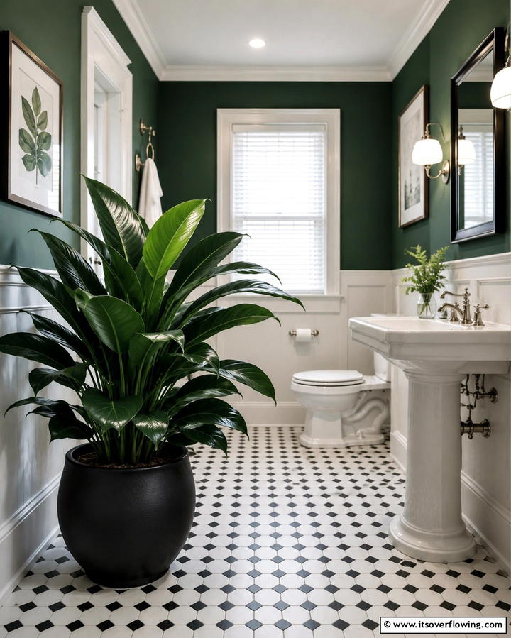 Cast Iron Plant - 30 Best Plants for Bathroom Spaces to Enhance Humidity & Style