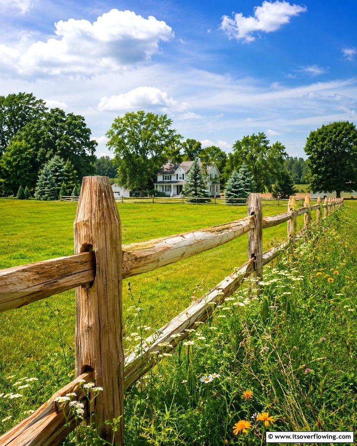 Cedar Split Rail Fence - 30 Durable Cedar Fence Ideas to Enhance Privacy and Style