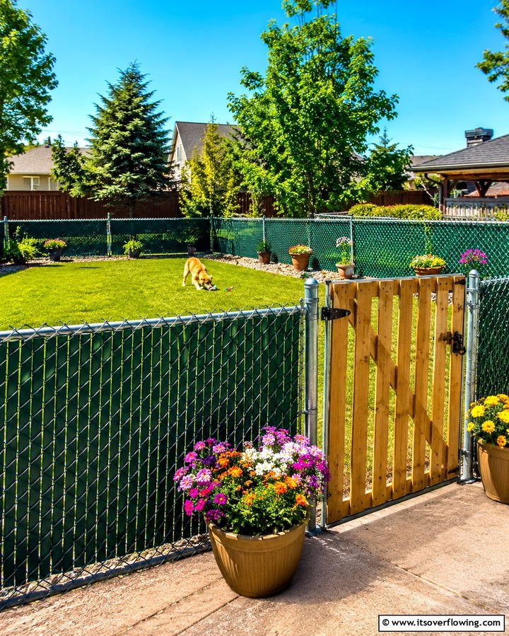 Chain Link Fence - 25 Dog Fence Ideas for a Safe and Stylish Yard