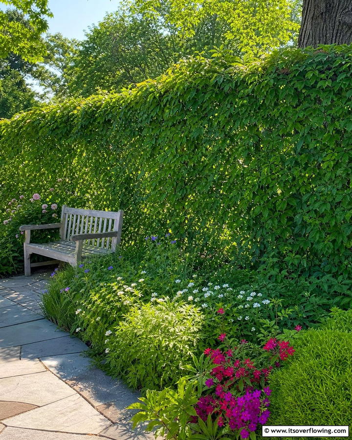 Chain Link with Green Cover - 30 Cheap Privacy Fence Ideas- Affordable Outdoor Seclusion