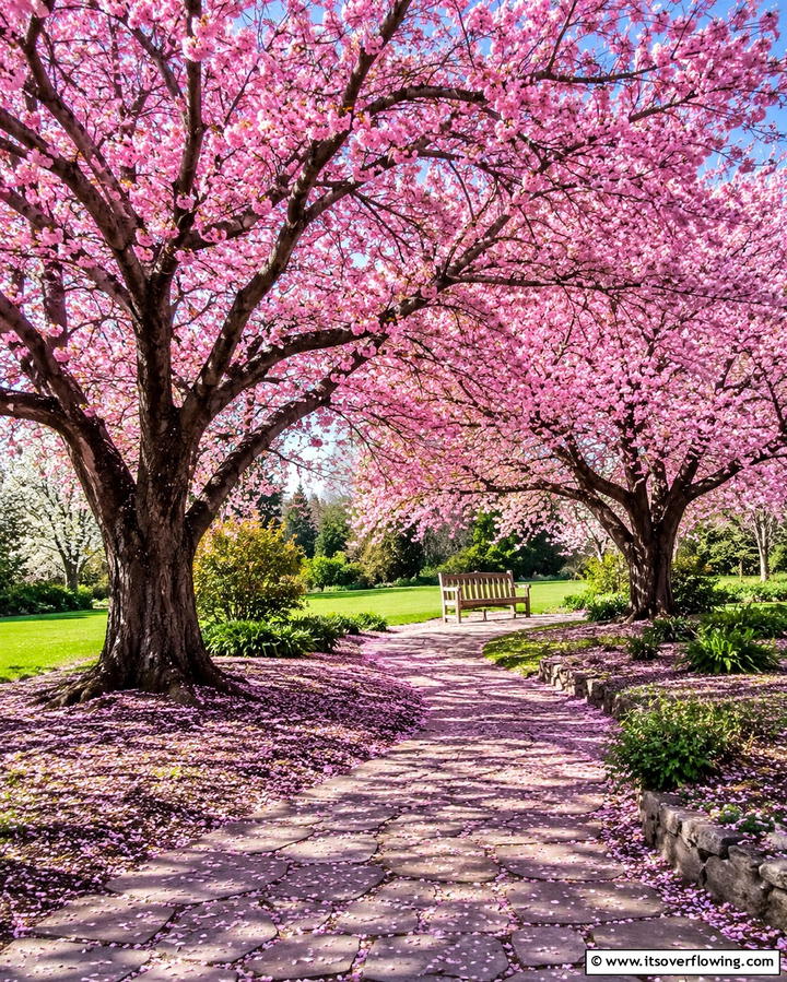 Cherry Blossom TreesExact - 30 Asian-Inspired Landscaping Ideas for Serene Gardens