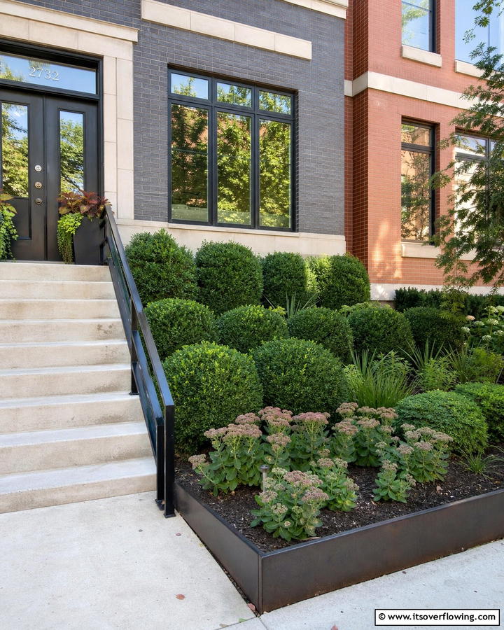 Chicagoland Green Boxwood Urban Durability - 20 Front Yard Boxwood Shrubs Ideas for a Polished Look