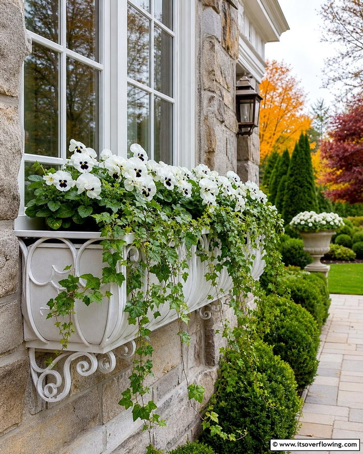 Classic Elegance with White Pansies and Ivy - 20 Fall Flower Box Ideas for Seasonal Beauty