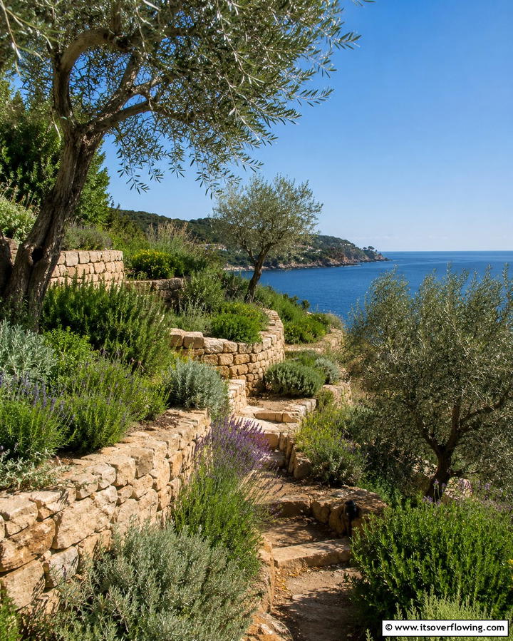 Cliffside Herb and Olive Garden - 30 Mediterranean Garden Ideas to Create a Coastal Oasis