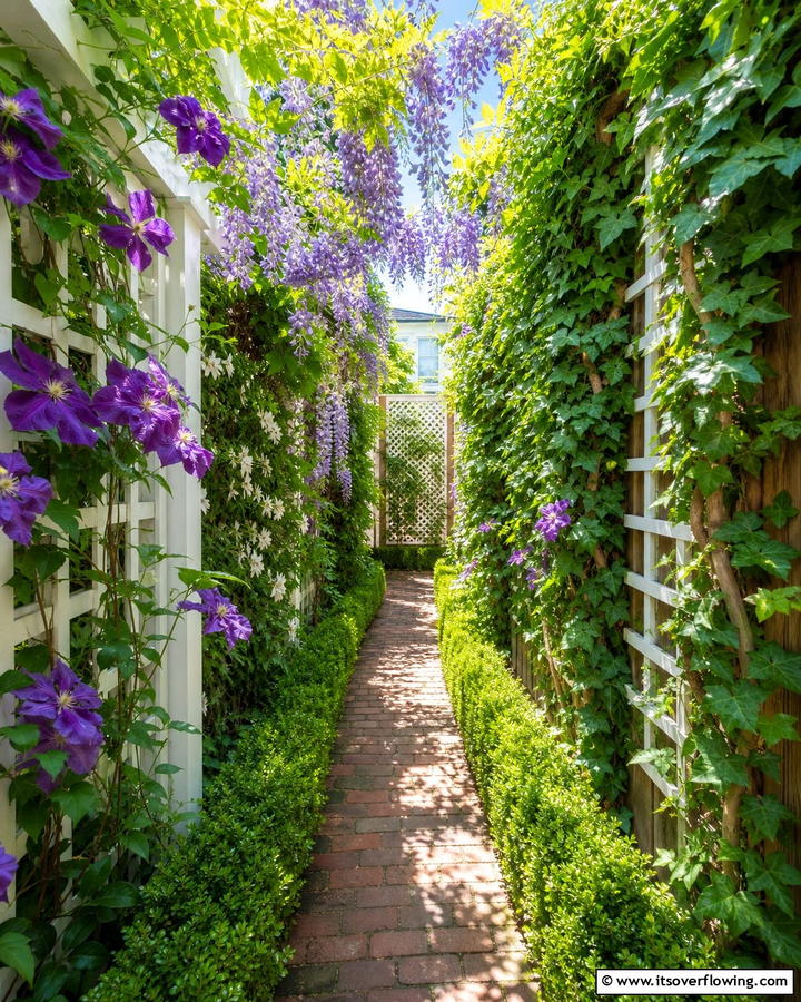 Climbing Plants for Vertical Interest - 20 Narrow Garden Ideas to Maximize Small Outdoor Spaces