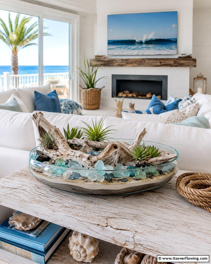 Coastal Driftwood Terrarium - 30 Creative Terrarium Ideas for Indoor Gardening Enthusiasts
