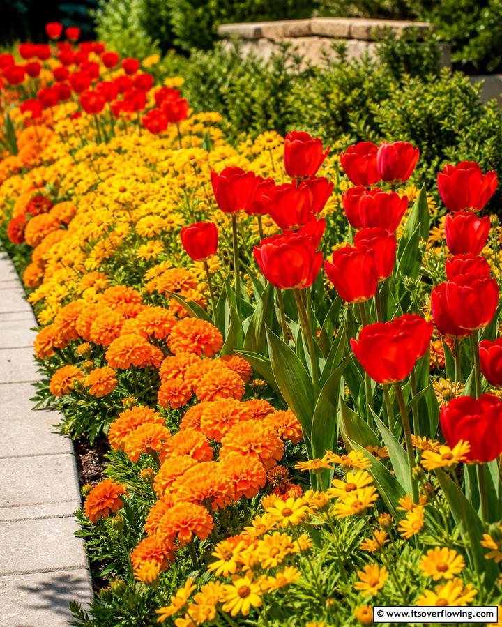 Color Themed Flower Beds - 25 Flower Garden Ideas to Brighten Your Outdoor Space