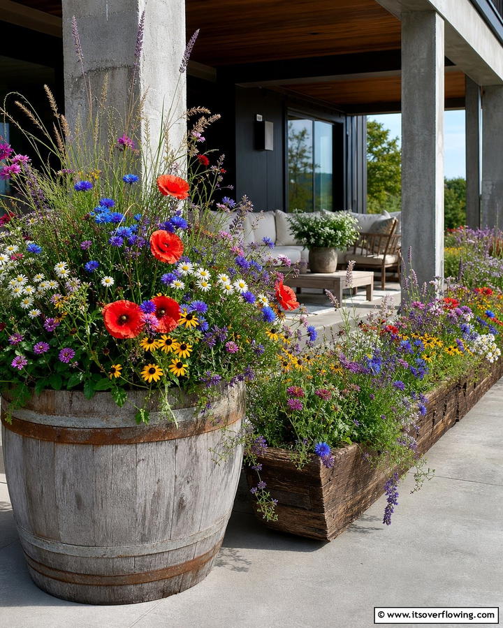 Container Wildflower Gardens - 25 Wildflower Garden Ideas for a Natural Look