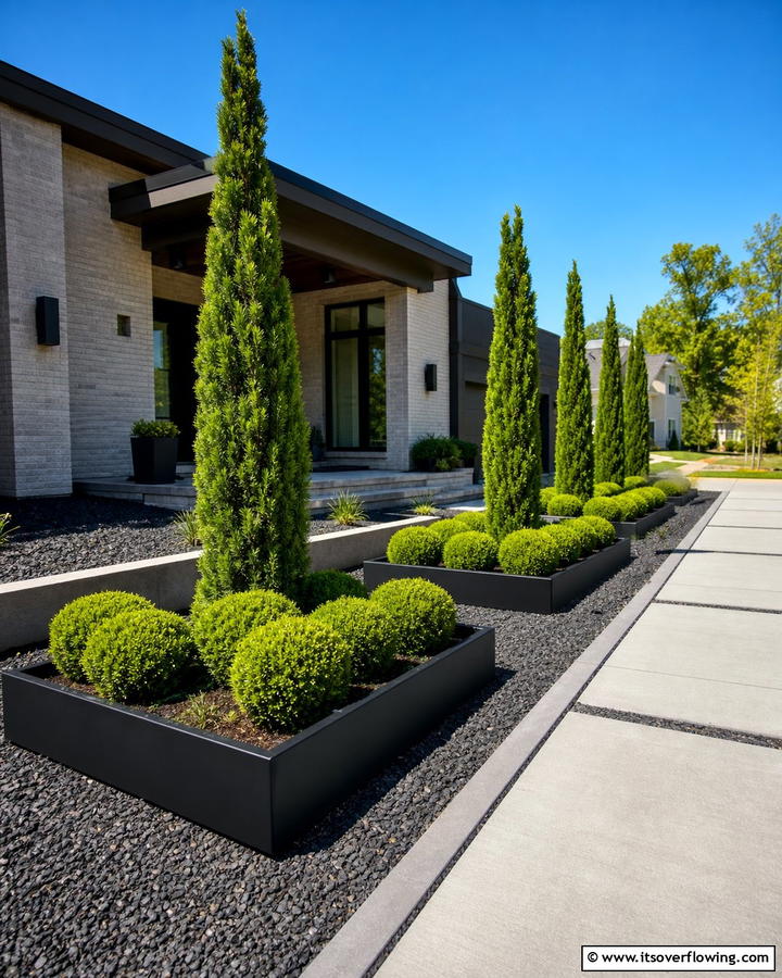 Contemporary Evergreen Display - 30 Front Yard Evergreen Landscaping Ideas for Year-Round Beauty