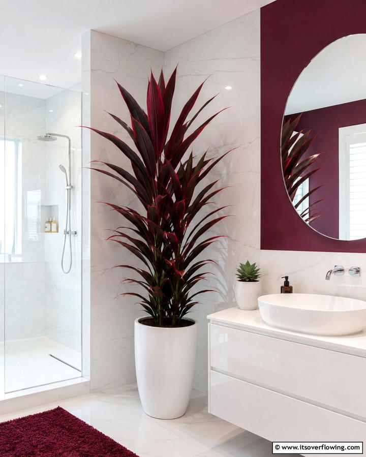 Cordyline - 30 Best Plants for Bathroom Spaces to Enhance Humidity & Style