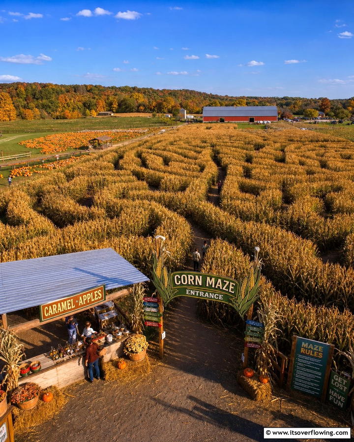 Corn Maze Challenge - 25 Fall Birthday Party Ideas for a Seasonal Celebration