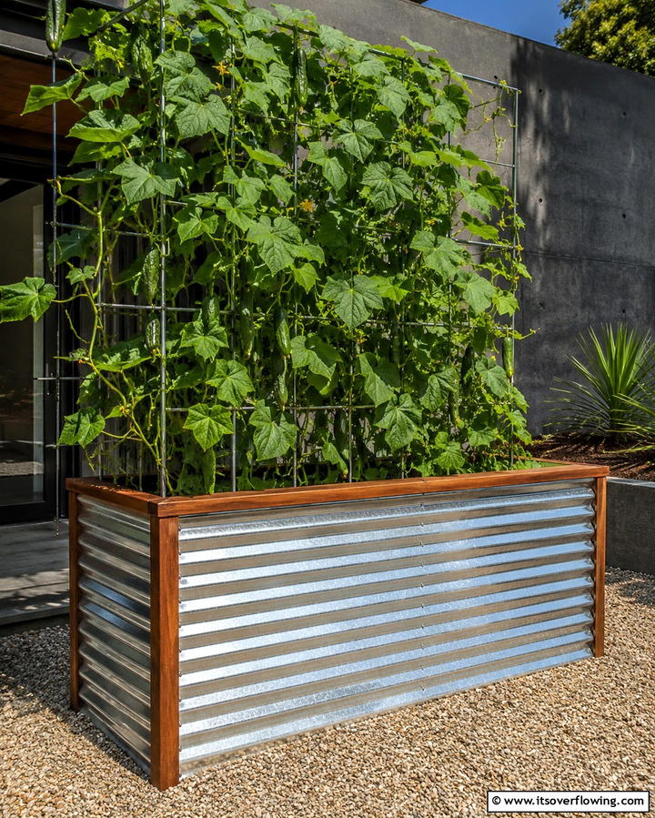 Corrugated Metal Beds - 25 Inexpensive Raised Garden Bed Ideas for Your Yard