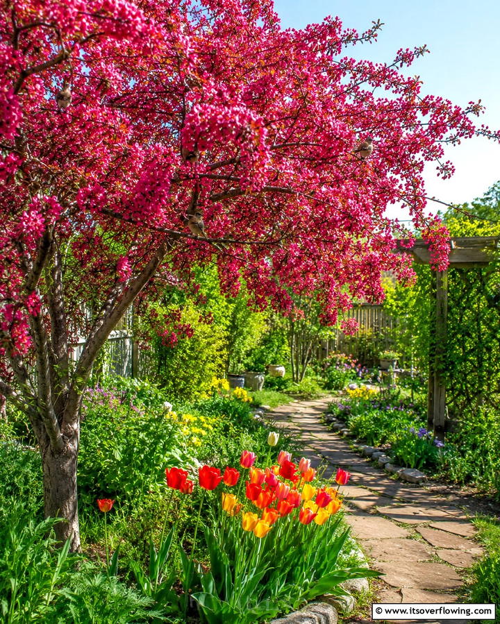 Crabapple TreeOne - 25 Small Trees for Front Yard Landscaping Ideas