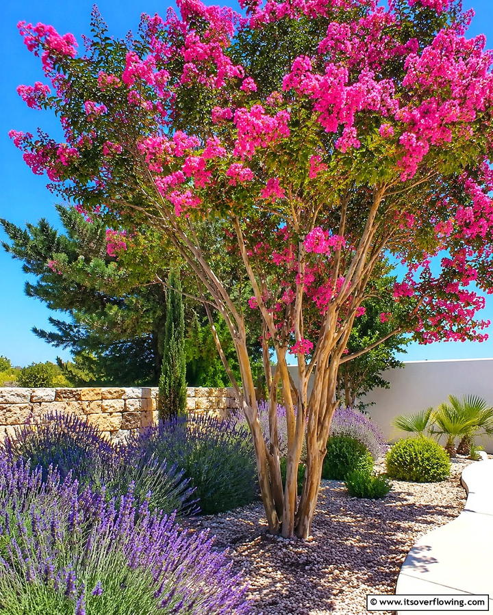 Crape MyrtleExact - 25 Small Trees for Front Yard Landscaping Ideas
