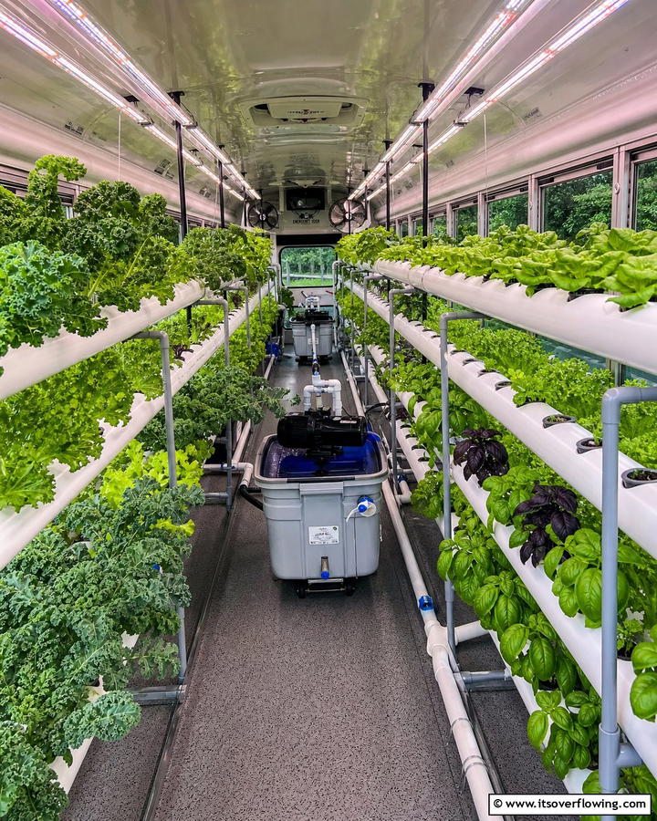 Create a Hydroponic System for Soil Free Gardening - 20 School Bus Greenhouse Ideas for Sustainable Living