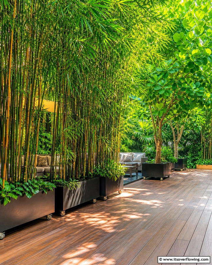 Create a Lush Privacy Wall - 25 Deck Decorating Ideas With Plants for a Lush Outdoor Space