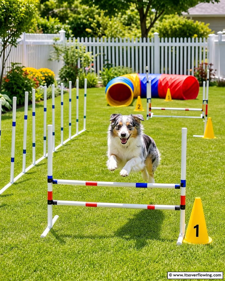DIY Dog Agility Course - 25 Dog Room Ideas for a Pet-Friendly Home
