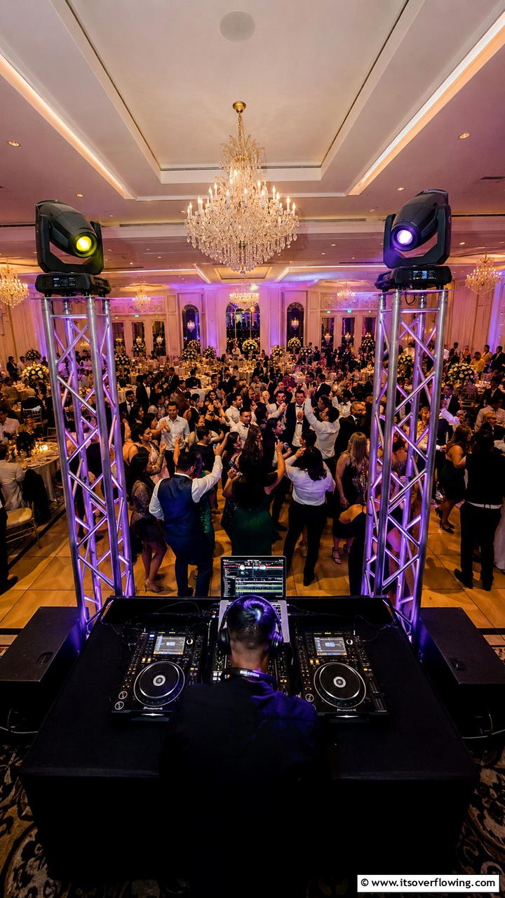 DJ Entertainment - 21 Unique Wedding Entertainment Ideas to Delight Your Guests