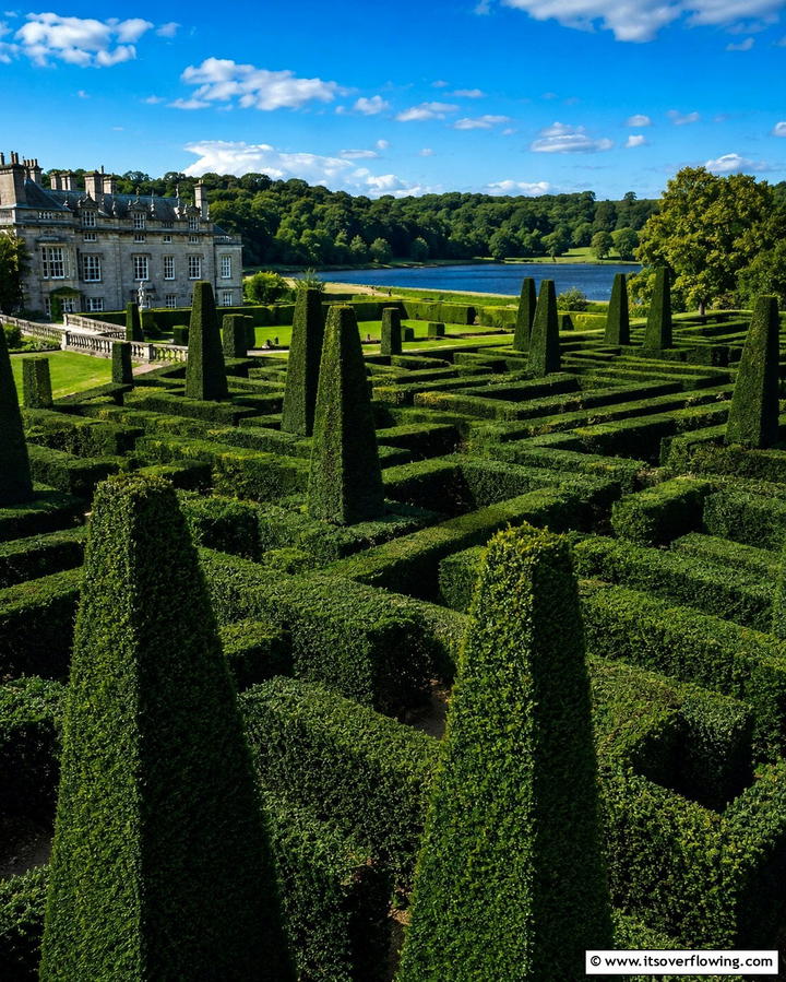 Dark Hedges and Topiaries - 25 Gothic Garden Ideas for a Dark and Mysterious Oasis