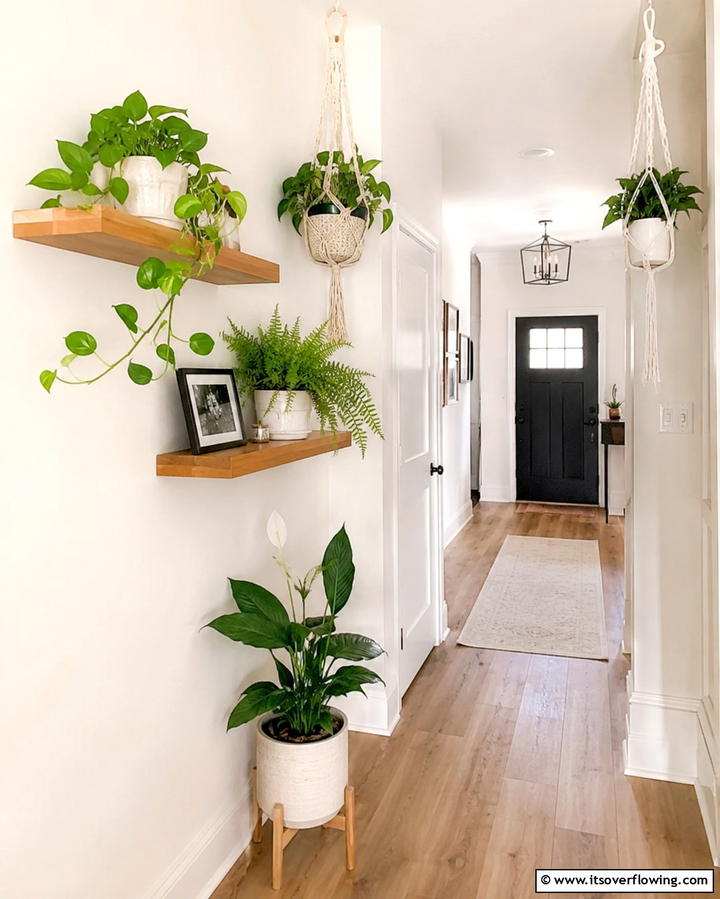 Decorate with Potted Plants - 30 Bohemian Hallway Decor Ideas for a Welcoming Entryway
