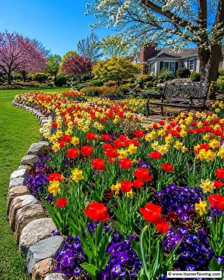 Design a Seasonal Flower Bed - 20 Spring Garden Ideas to Refresh Your Outdoor Space