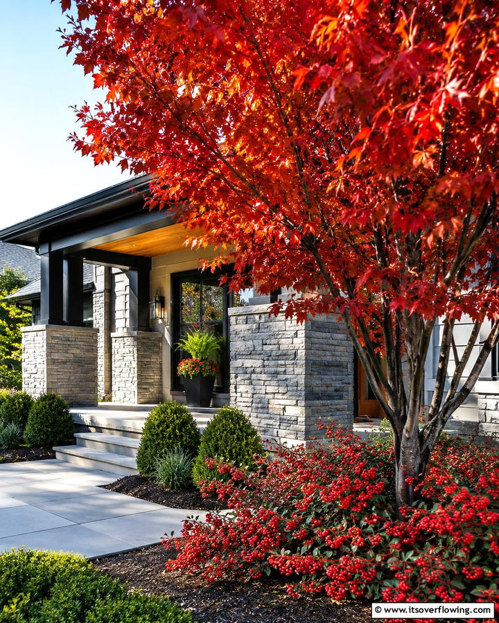 Dogwood TreeOne - 25 Small Trees for Front Yard Landscaping Ideas
