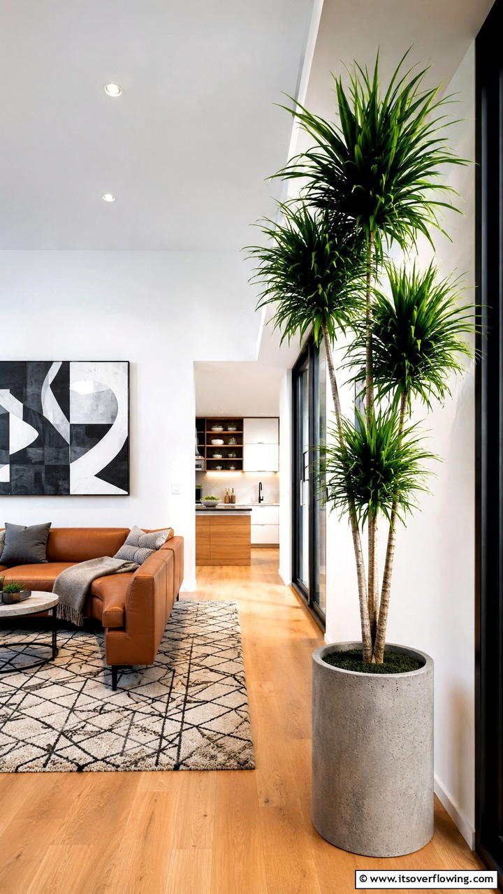Dracaena Elegant Statement - 30 Low-Light Indoor Plants That Don’t Need Sun to Thrive