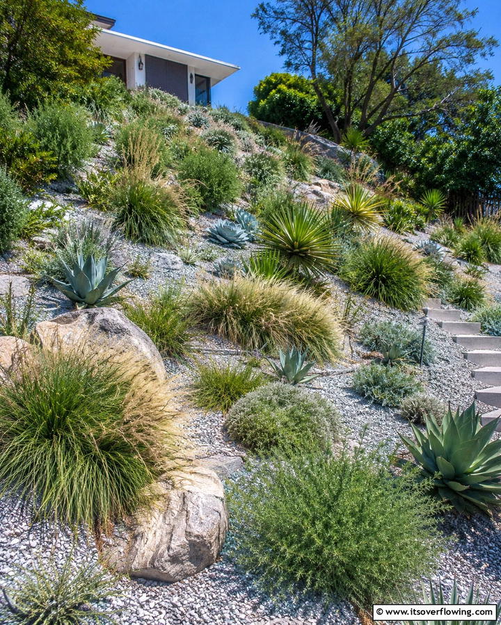 Drought Resistant Plantings - 30 Hillside Landscaping Ideas for Sloped Yards