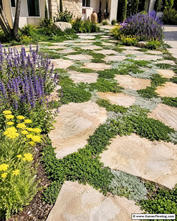 Drought Tolerant Ground Cover - 25 Beautiful Front Yard Spanish Style Landscaping Ideas