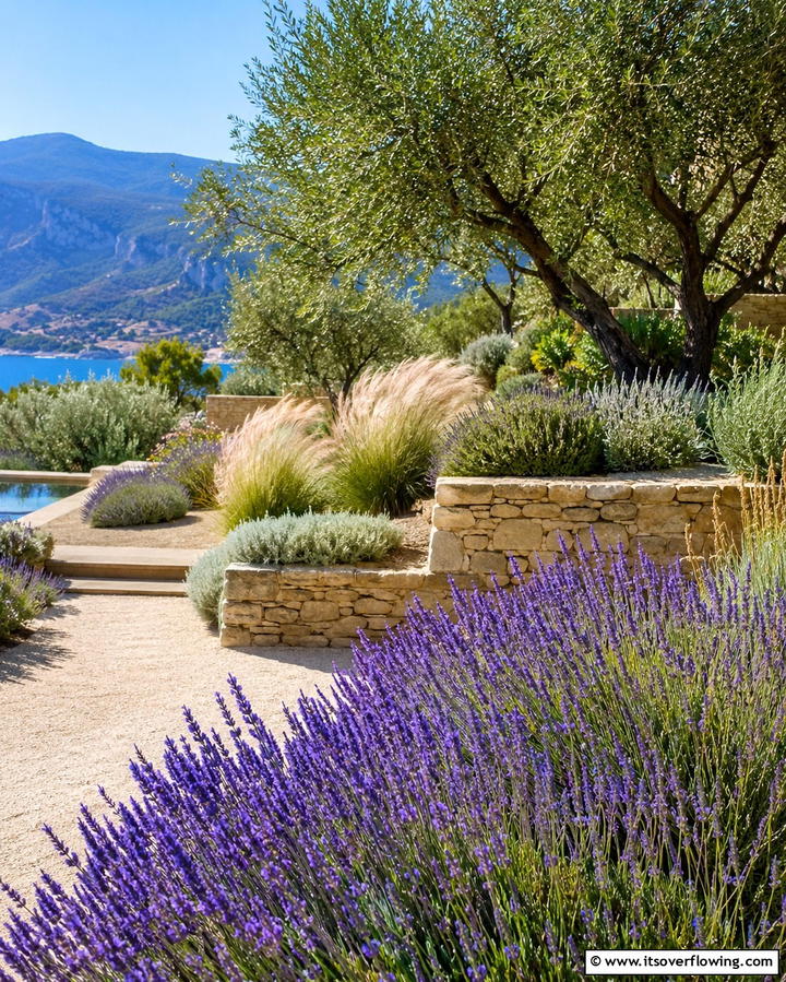 Drought Tolerant Plants for Effortless Beauty - 25 Low Maintenance Backyard Landscaping Ideas