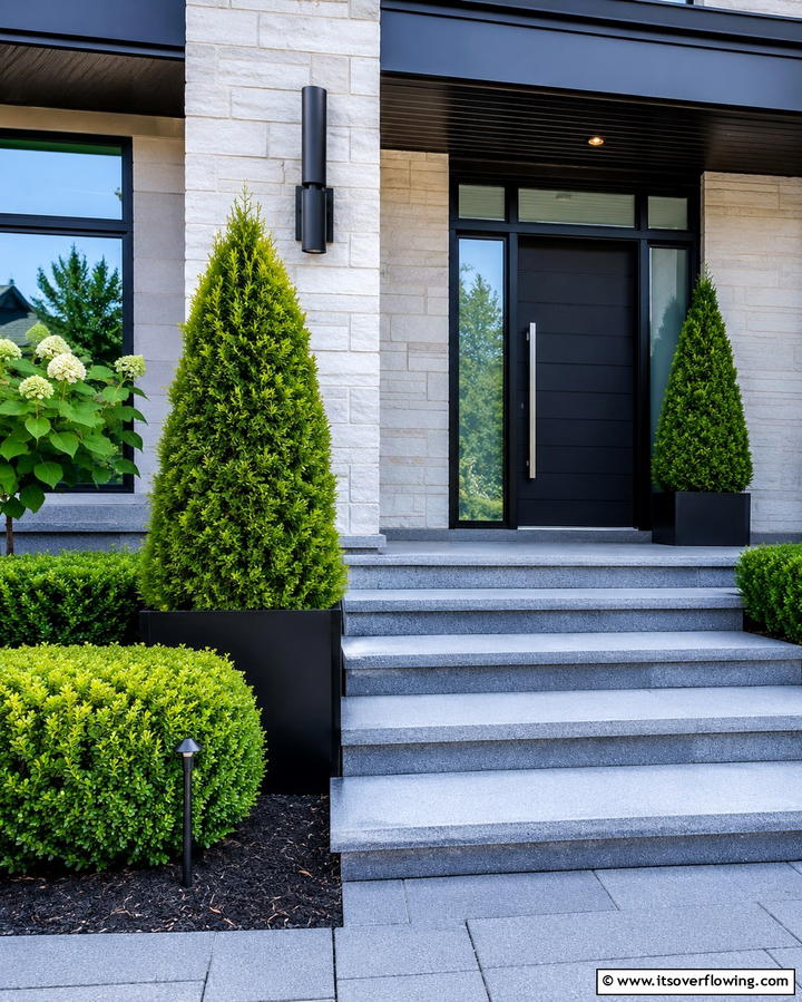 Dwarf Alberta Spruce - 25 Small Trees for Front Yard Landscaping Ideas