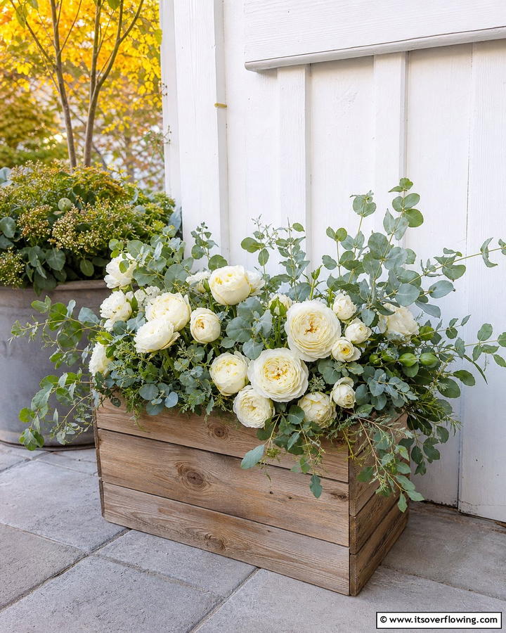 Earthy Tones with Eucalyptus and Cream Roses - 20 Fall Flower Box Ideas for Seasonal Beauty